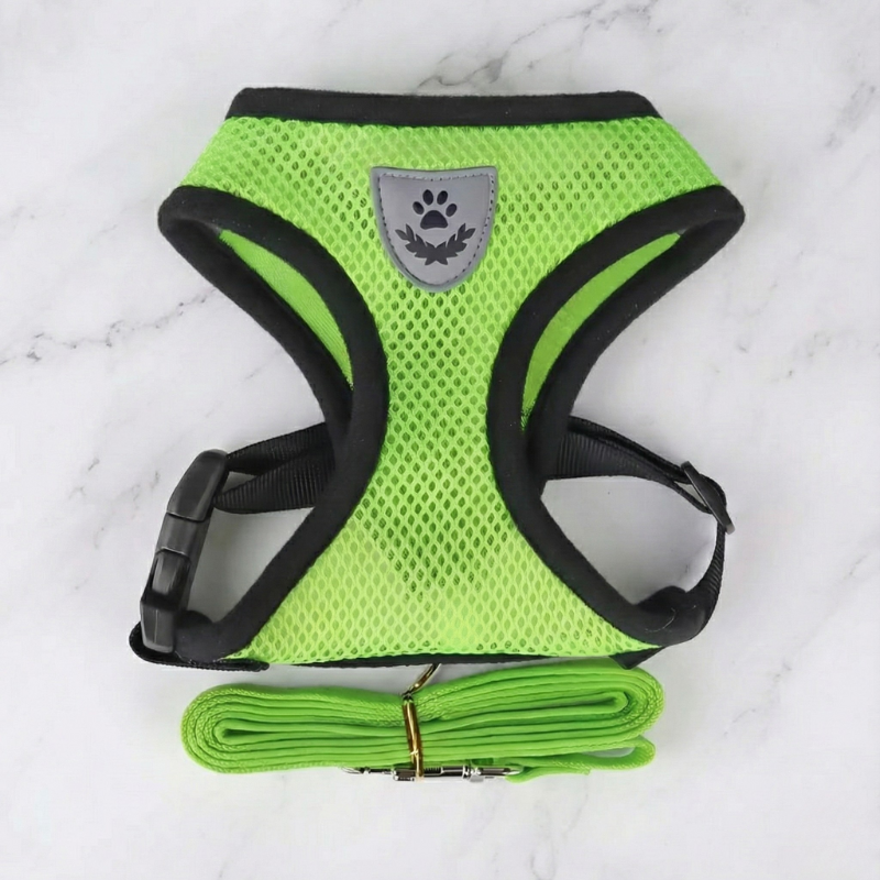 Hunde-Geschirr + Leine – Atmungsaktives & Reflektierendes Mesh