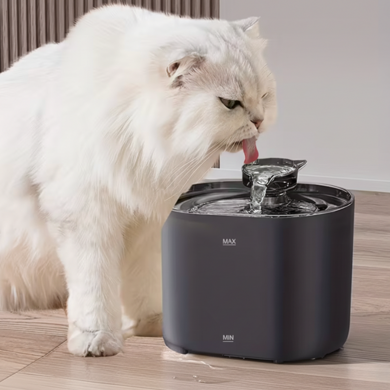 Fontaine à Eau Chat 2,2 L – USB & Filtres