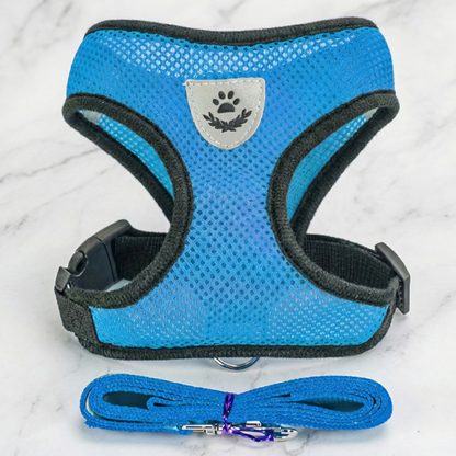 Hunde-Geschirr + Leine – Atmungsaktives & Reflektierendes Mesh