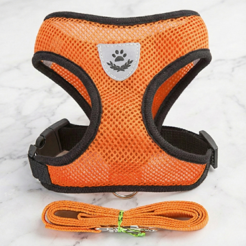 Hunde-Geschirr + Leine – Atmungsaktives & Reflektierendes Mesh