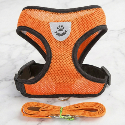 Hunde-Geschirr + Leine – Atmungsaktives & Reflektierendes Mesh