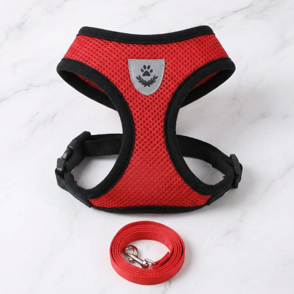 Hunde-Geschirr + Leine – Atmungsaktives & Reflektierendes Mesh