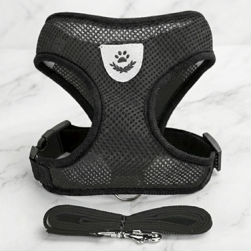 Hunde-Geschirr + Leine – Atmungsaktives & Reflektierendes Mesh