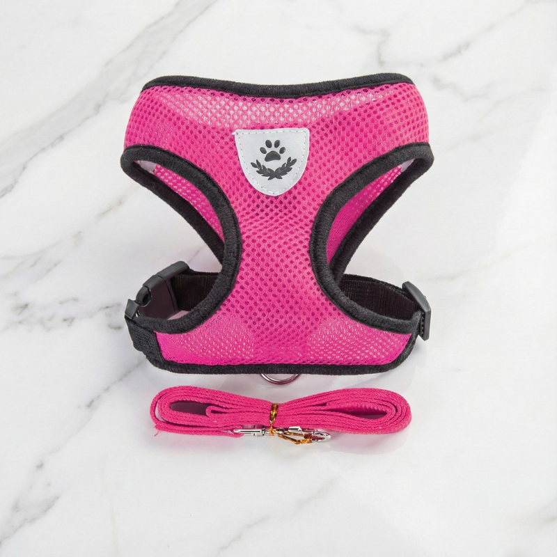 Hunde-Geschirr + Leine – Atmungsaktives & Reflektierendes Mesh