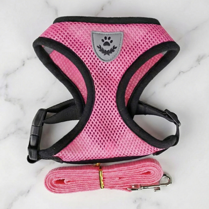Hunde-Geschirr + Leine – Atmungsaktives & Reflektierendes Mesh