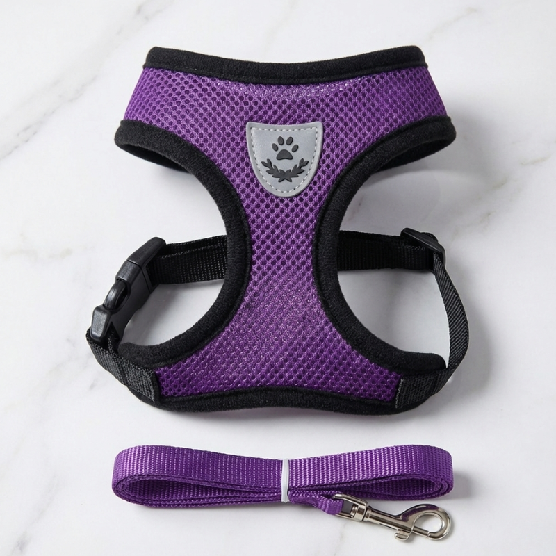 Hunde-Geschirr + Leine – Atmungsaktives & Reflektierendes Mesh