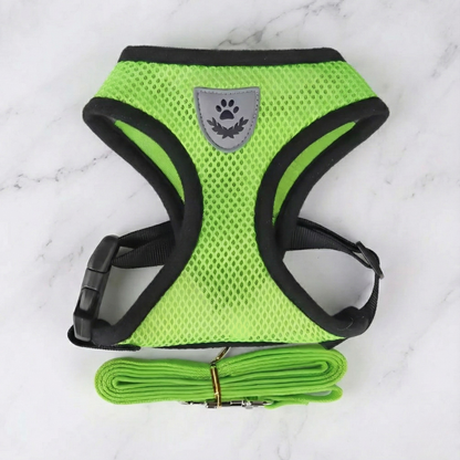 Hunde-Geschirr + Leine – Atmungsaktives & Reflektierendes Mesh