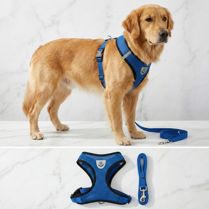 Hunde-Geschirr + Leine – Atmungsaktives & Reflektierendes Mesh
