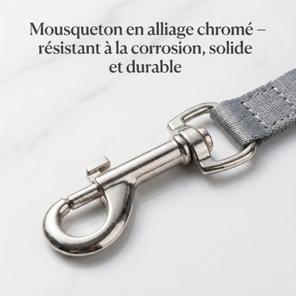 Ausziehbare Hundeleine – Strapazierfähiges Nylon & Kontrolle