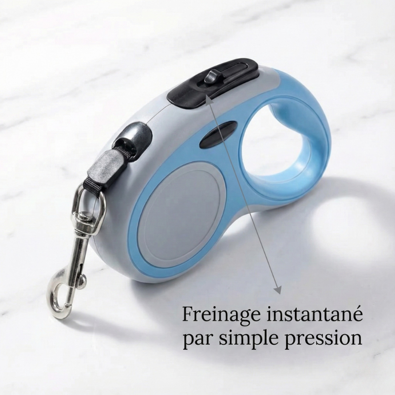 Ausziehbare Hundeleine – Strapazierfähiges Nylon & Kontrolle