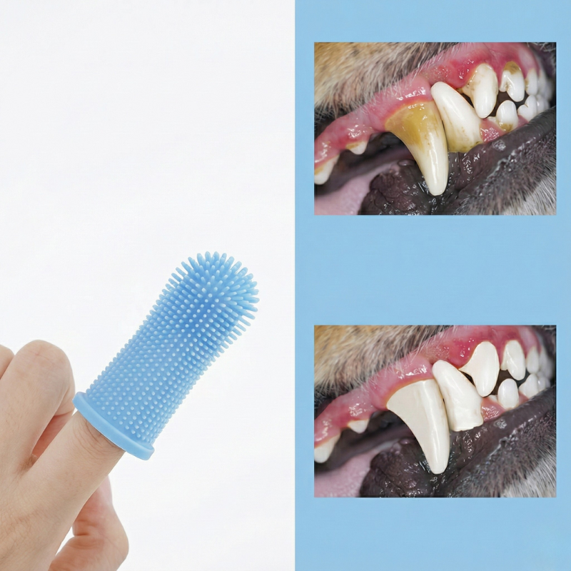 Brosse à dents en silicone pour animaux avec démonstration nettoyage des dents et réduction du tartre.