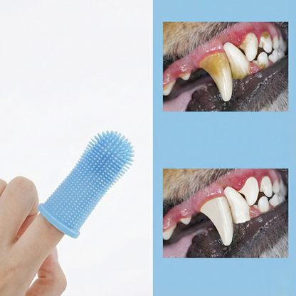Brosse à dents en silicone pour animaux avec démonstration nettoyage des dents et réduction du tartre.