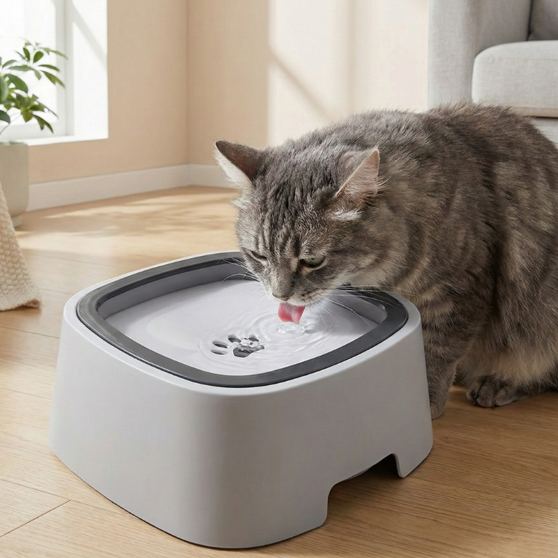 Chat utilisant une gamelle anti-déversement, bol d’eau stable et anti-éclaboussures pour éviter les accidents.