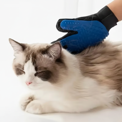 Gant de toilettage utilisé pour brosser un chat, retirant les poils morts tout en massant l’animal.